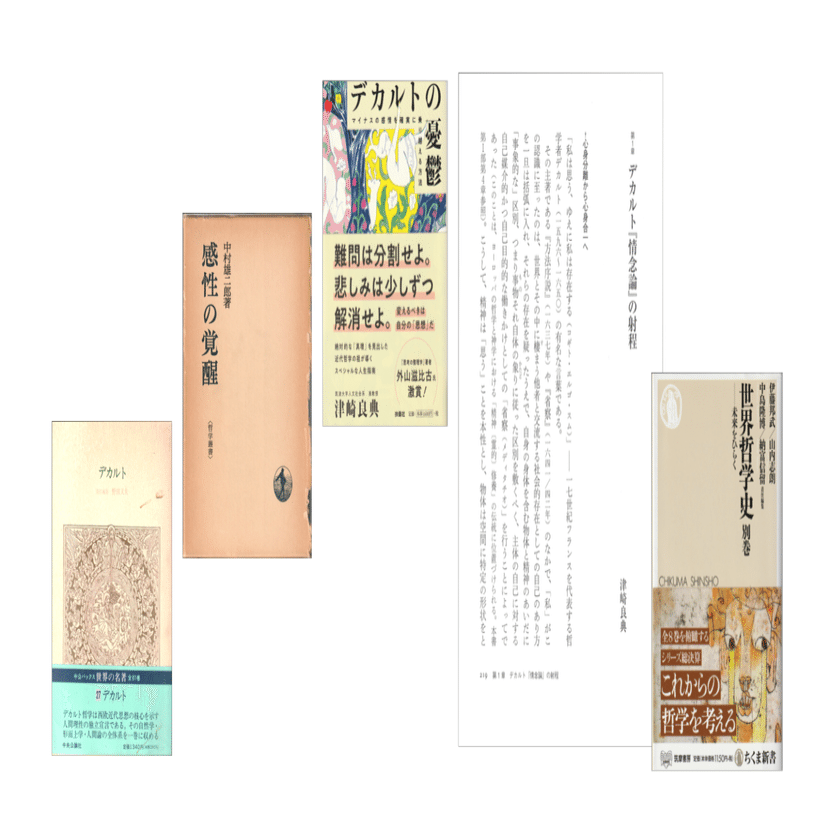 津崎良典「デカルト『情念論』の射程」（『世界哲学史別巻