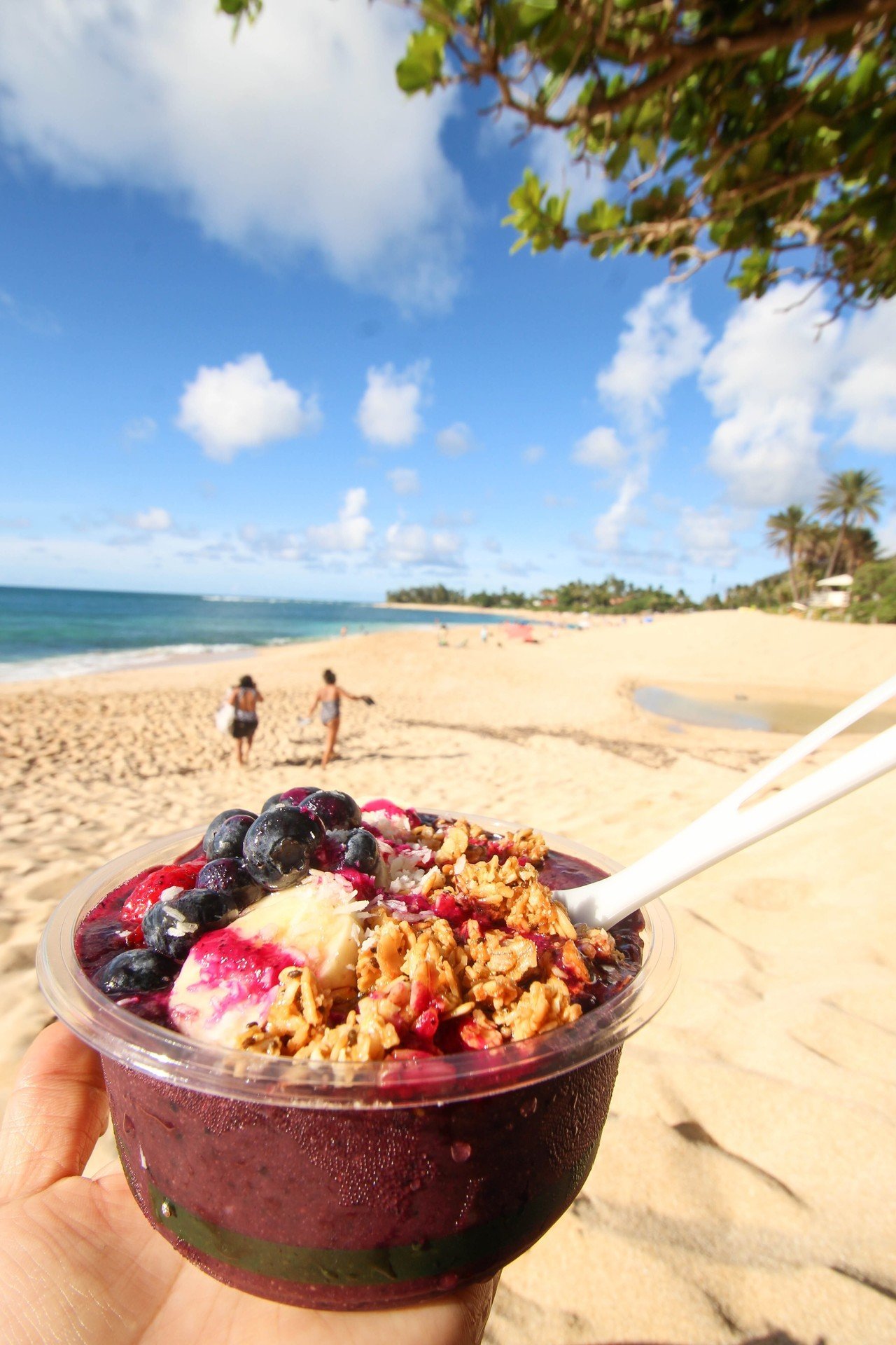 ノースショアのアサイーボウル｜世界のお菓子（食）を巡る旅#21｜ライツ社