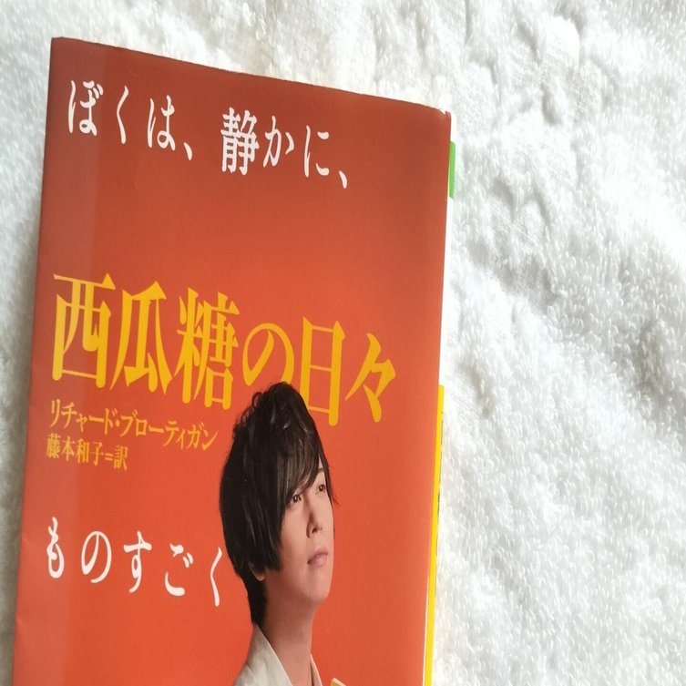 リチャード・ブローティガン『西瓜糖の日々』藤本和子訳、河出文庫｜みも