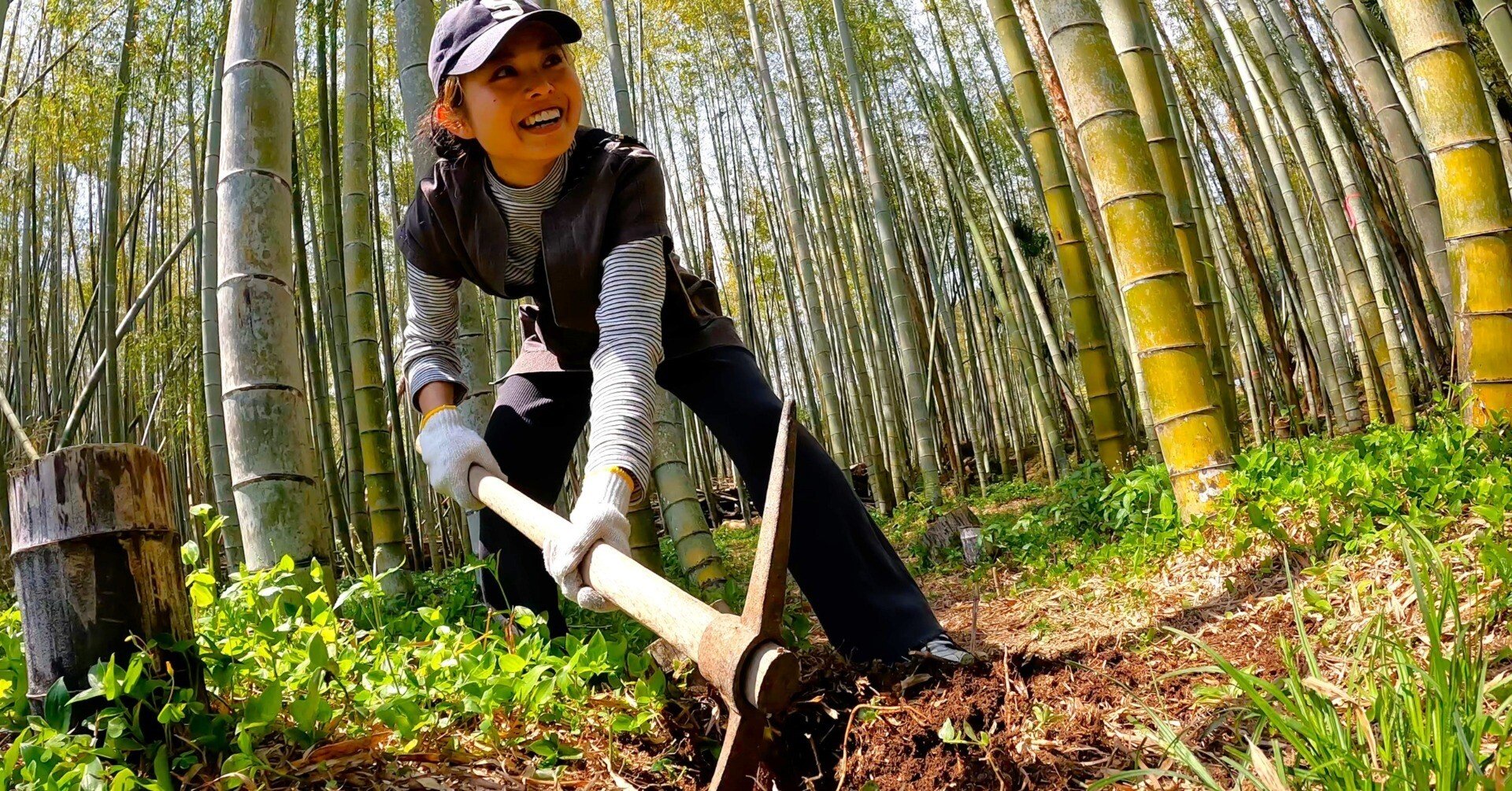 田舎の日常】たけのこ堀りする休日｜きほくらし | 紀北町暮らしナビ