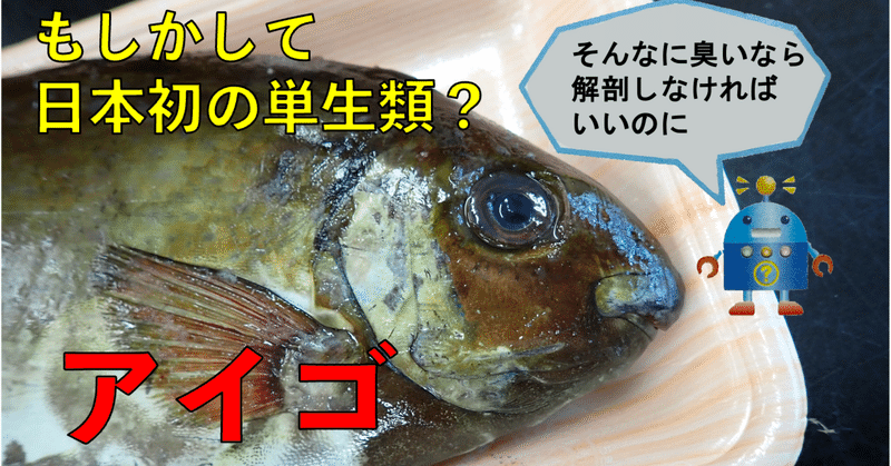 もしかして日本初の単生類？