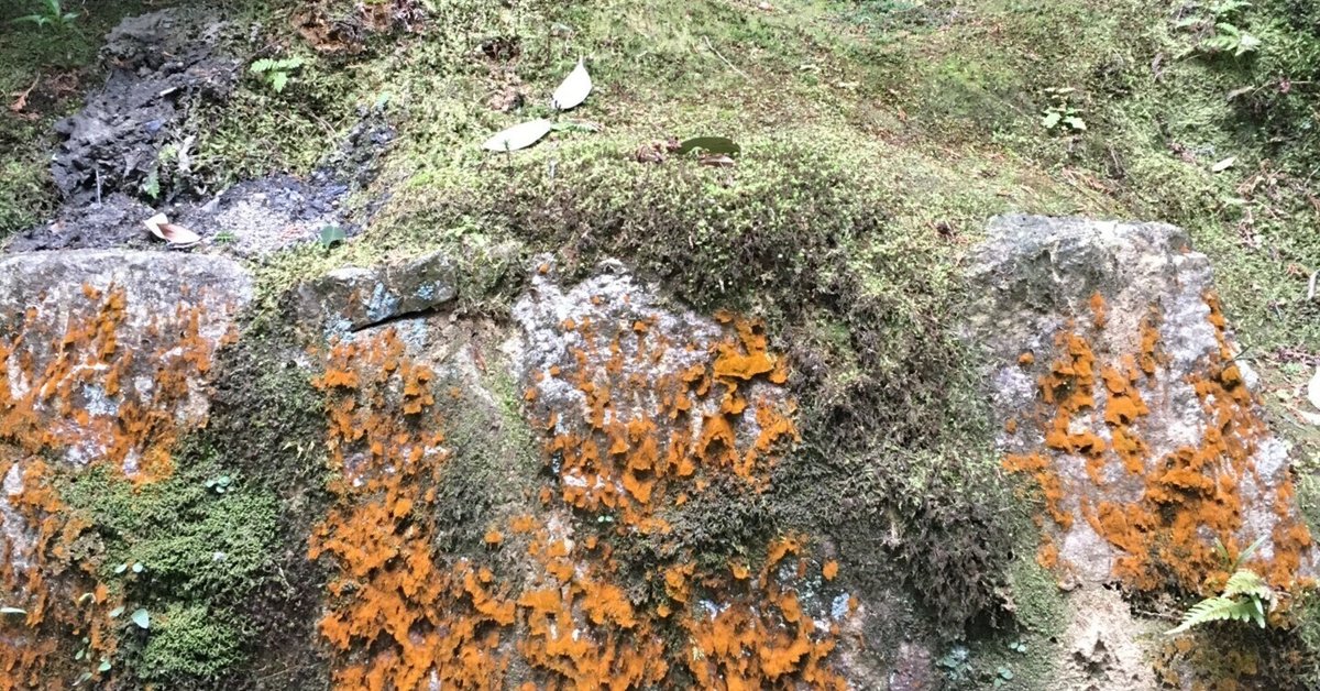 長野県の一人出版社・八燿堂（はちようどう）について｜八燿堂