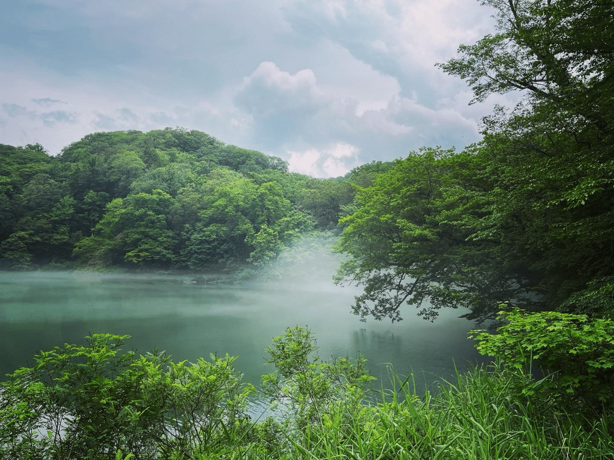 読む旅路👣】日本の世界遺産（ほぼ）踏破してみた！〈前編