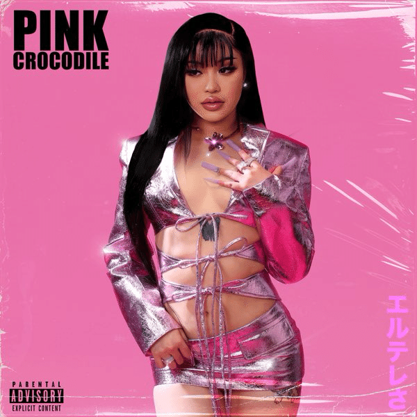 Elle Teresa IgnorantTape Pink Trap 2枚セット 2023年の年間ベストアルバムを2024年の5月末に発表する成人男性の主張
