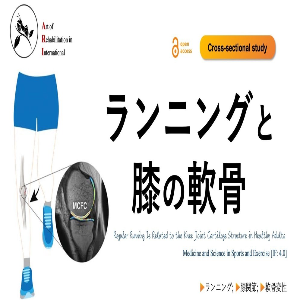 ランニングと膝の軟骨｜Super Human | 理学療法士／保健学博士 Ph.D.
