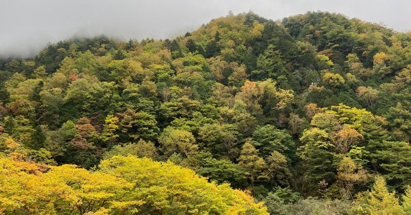 フォレストリップ！　日本全国、いちおしの森を集めました