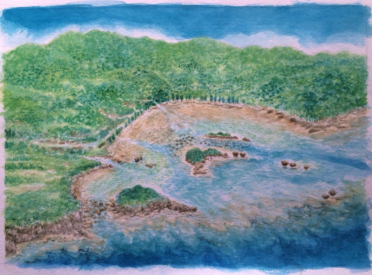 イラスト「空から見た干潟」｜カイズケン（よたか堂）