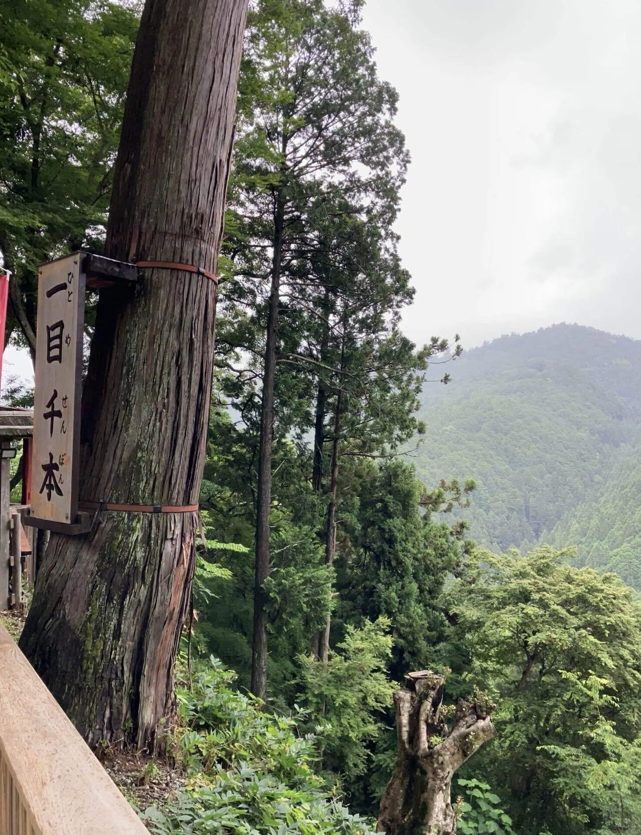 奈良・吉野の『金峰山寺』に近鉄特急で｜stay green