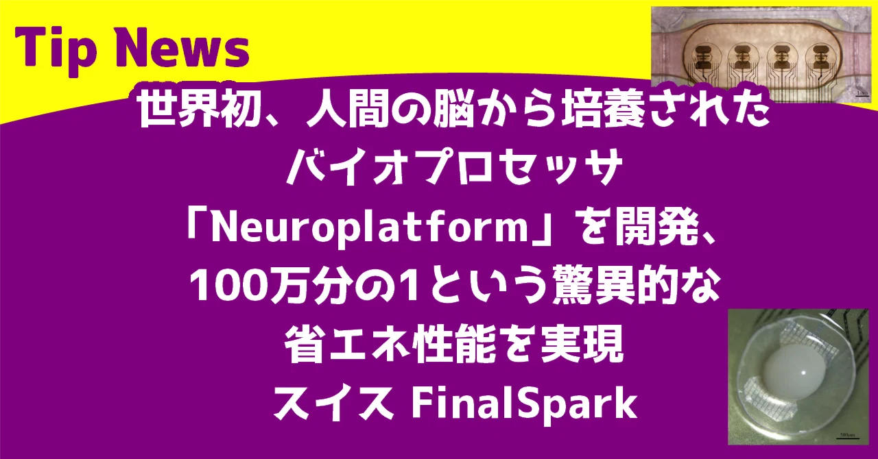 世界初、人間の脳から培養されたバイオプロセッサ「Neuroplatform」を