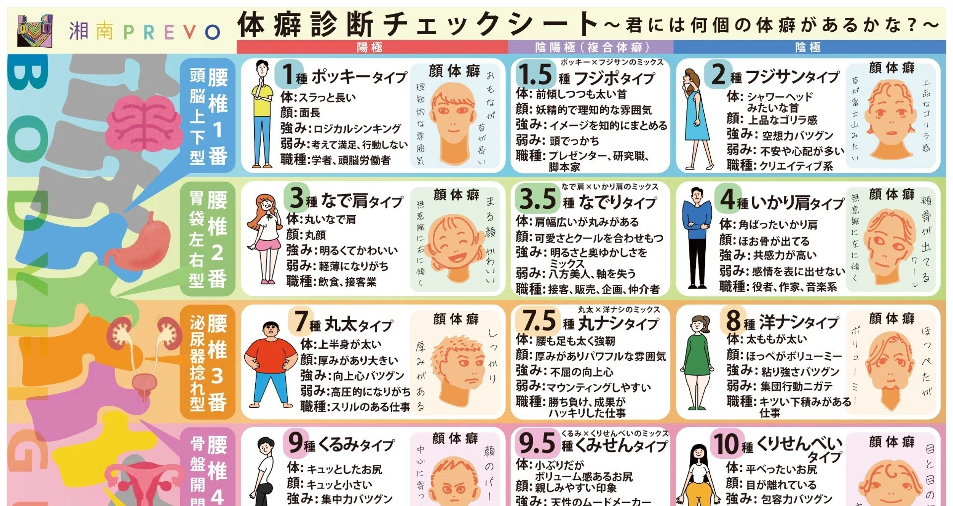 全10種類まとめ】体癖まるまるレポート｜知らなきゃ損する👍からだの