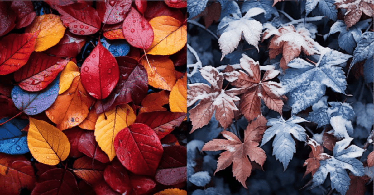 紅葉、冬の落ち葉で埋め尽くされた画像：Midjourney プロンプト