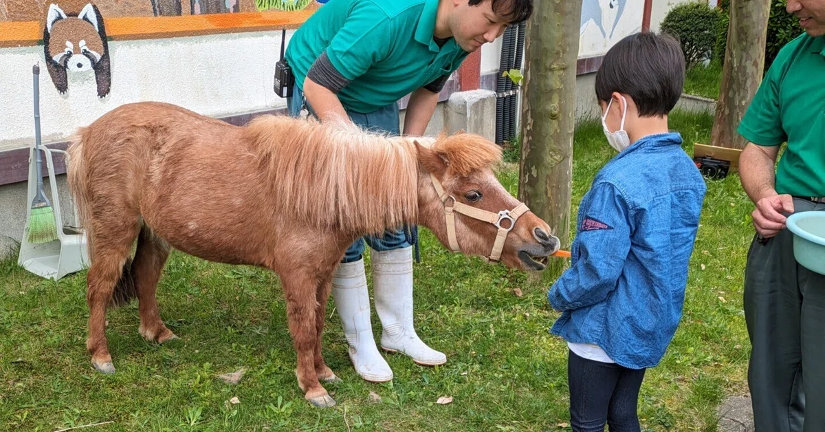 ポニーとのふれあいを通して動物園獣医師の仕事を知ろう！＠秋田市大 