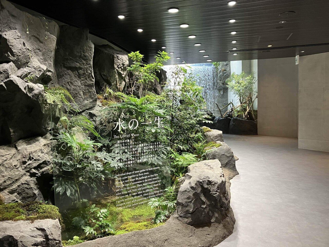 日淡オタクの神戸須磨シーワールド淡水展示レポ｜どぶりあ
