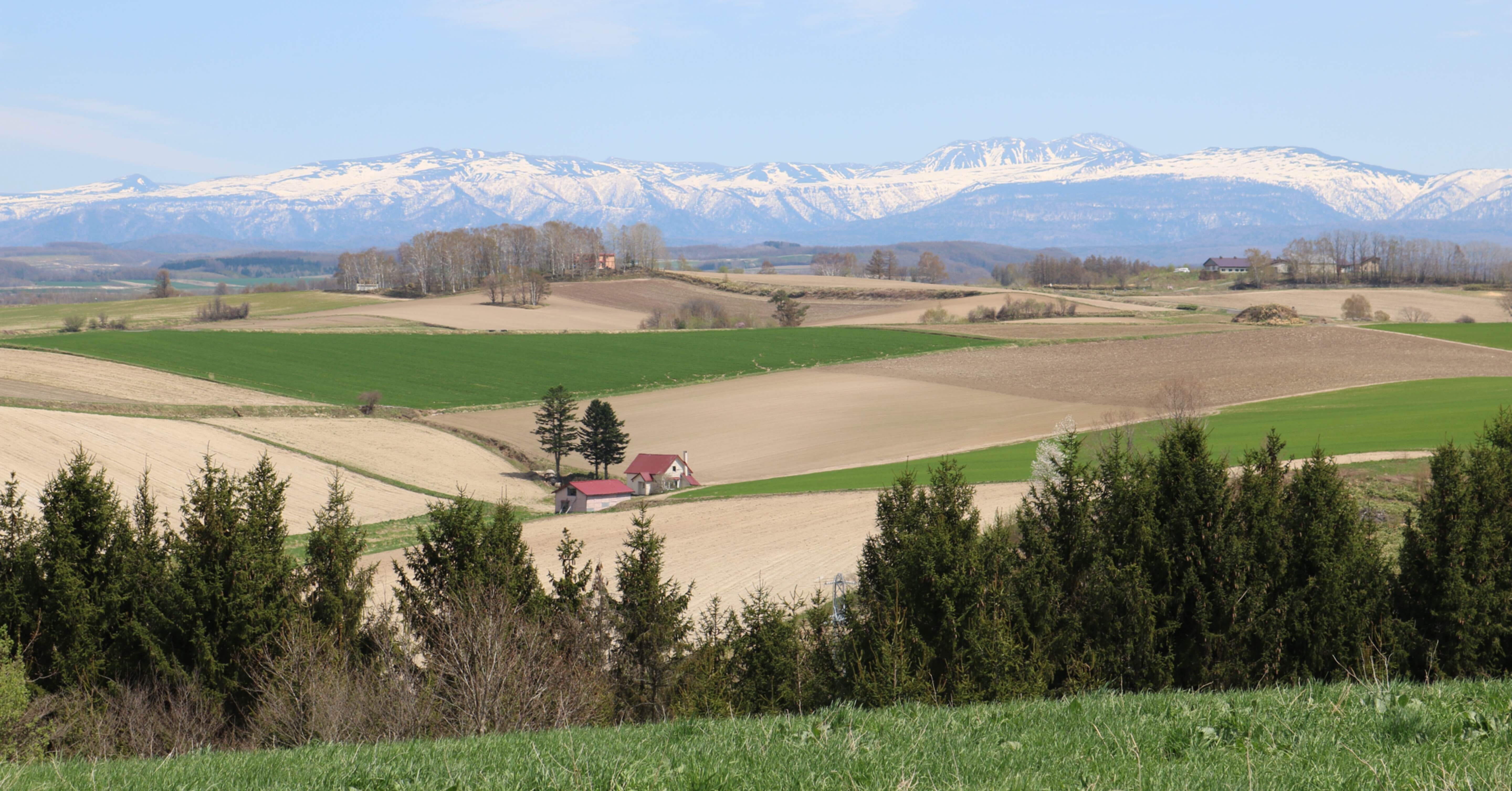 ツアー企画者の個人的な旅行 〜北海道8泊9日 〜｜Yuki Taniguchi