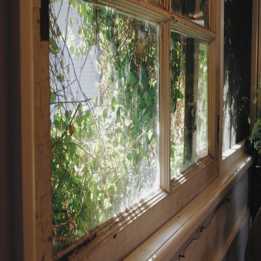 木漏れ日」を探して、生きていたい。｜kanaho