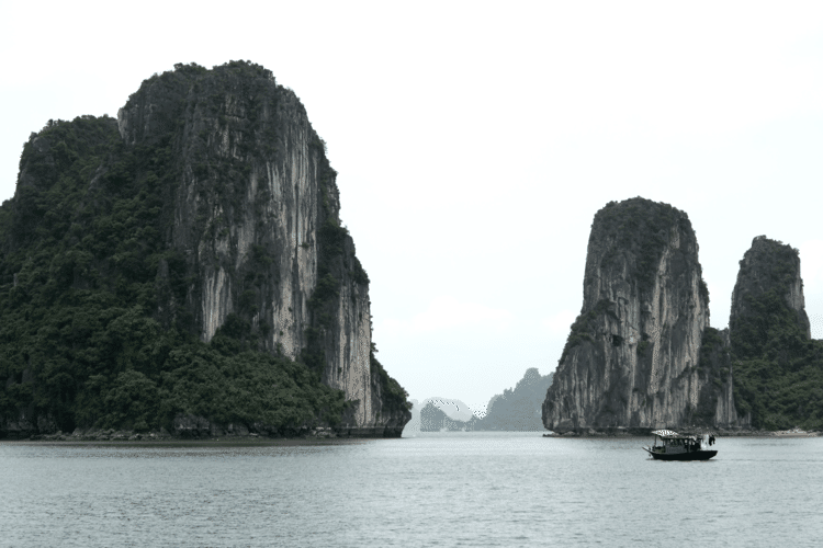 世界遺産のハロン湾と水上生活者の水上集落をボートで回りました。ハロン湾はベトナム随一の観光名所なので、クルーズ船がわんさかです。
