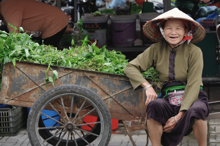 肉も野菜も果物も魚も、豊かな国ではベトナムは市場にあり！