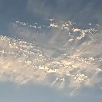 夕希