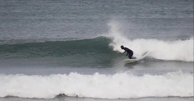 NPJ Stinger Fish Duo｜RIDE SURF+SPORT