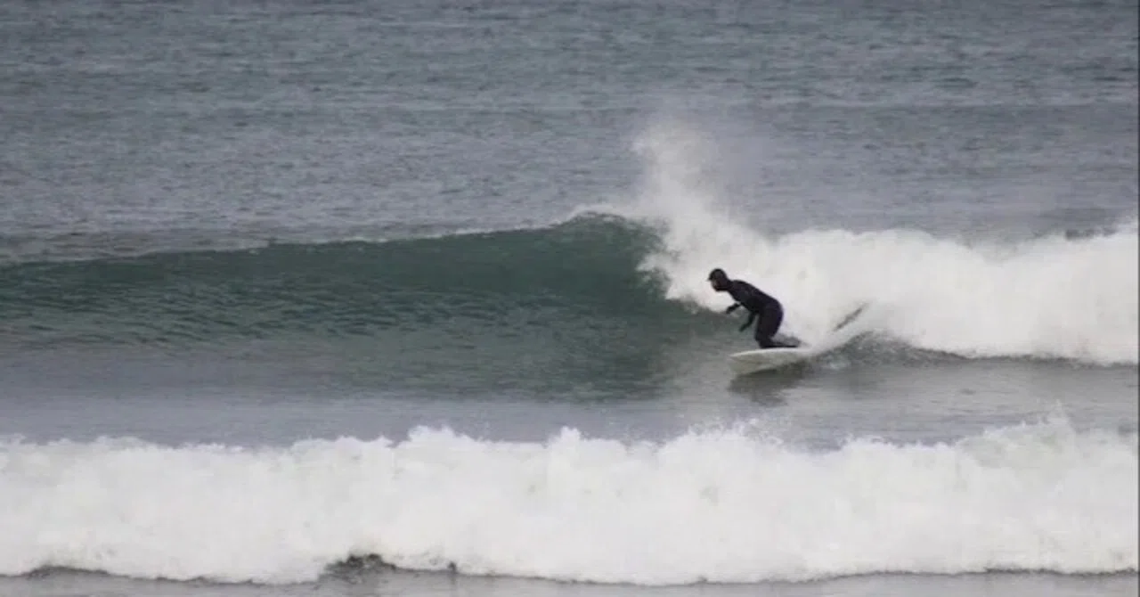 NPJ Stinger Fish Duo｜RIDE SURF+SPORT