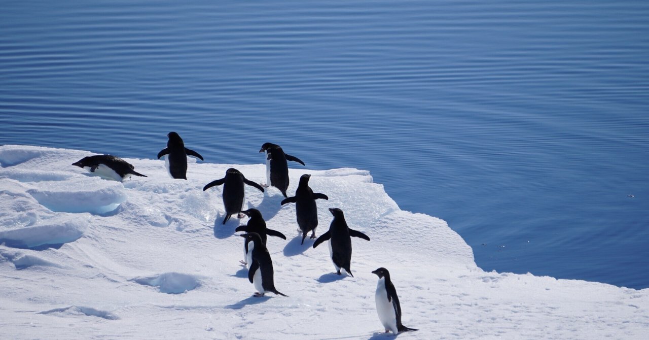 超特価激安 Research Antarctic Japanese Expedition 古き良き日々の ― 南極 ドキュメンタリー
