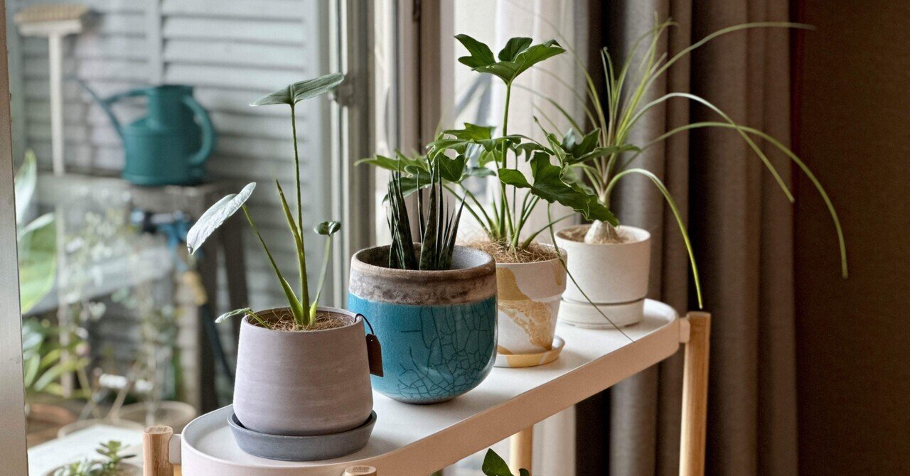 ベランダガーデニング…新顔とツール③｜Chappy