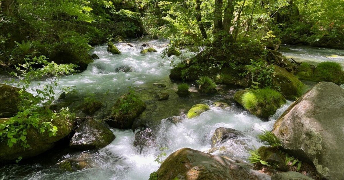 奥入瀬渓流 見どころ | Oirase Gorge | 新緑・紅葉の名所 | 青森