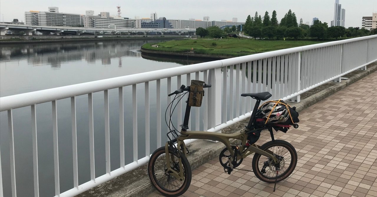 HiroshiBD-1W 折り畳み自転車 シルバー 輪行しやすく工夫 Hiroshi様専用BD-1W 折り畳み自転車 シルバー 輪行しやすく工夫