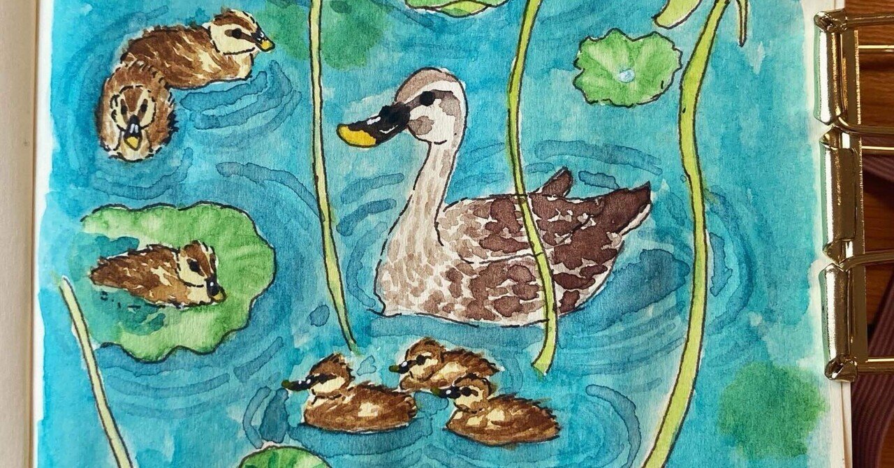 カルガモ親子を描きました｜優風香(Yuuka)