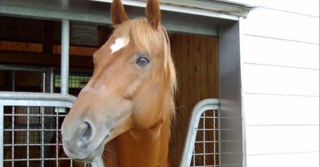 73328a1713b2106448be1ad4f52b3f