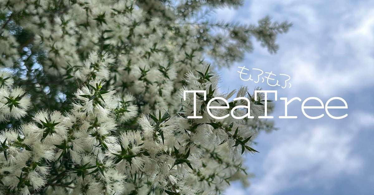ティーツリー・抗菌エクストラクト | Tea Tree Farms 日本向け