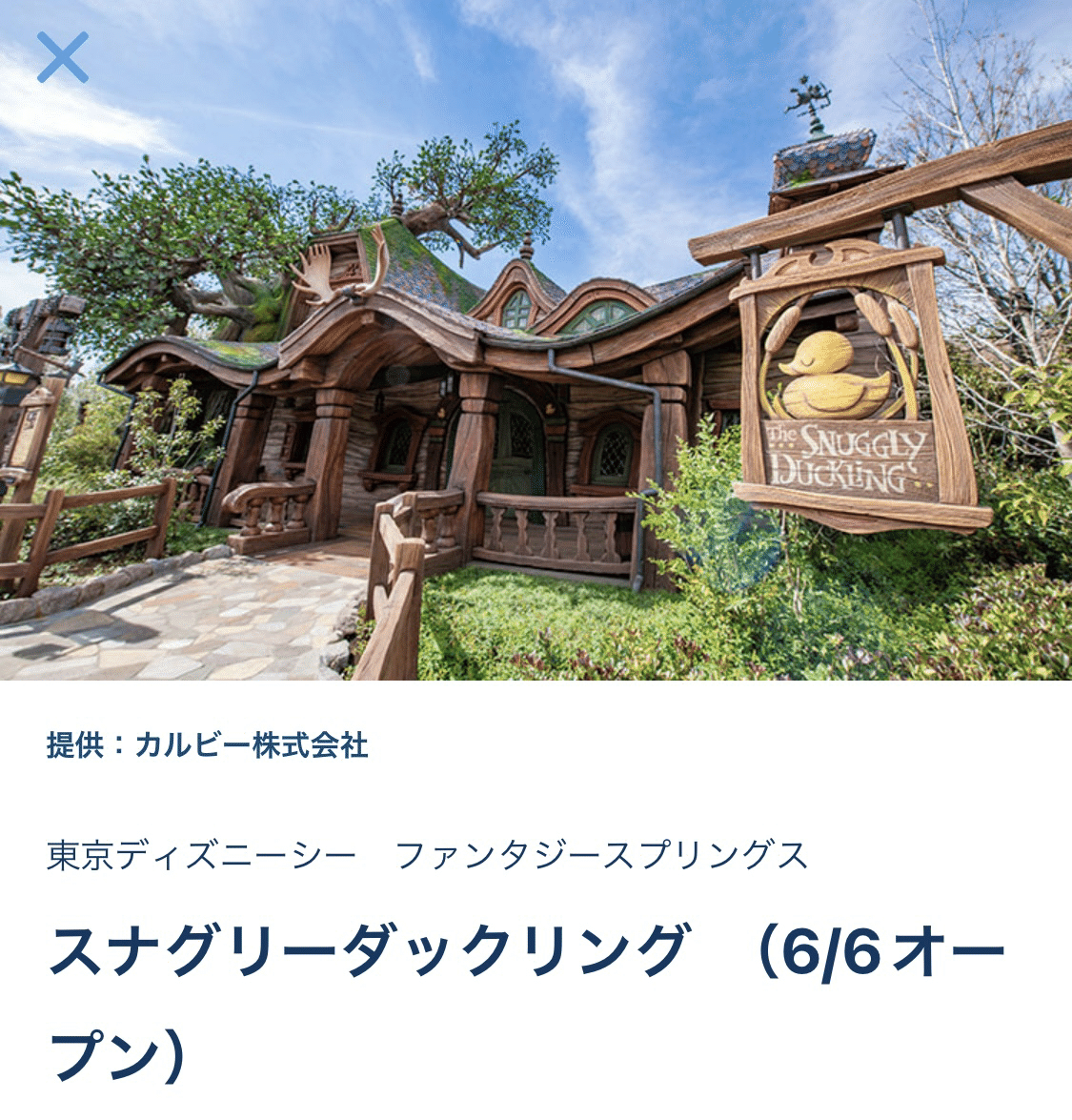 ハッピー15エントリー東京ディズニーシー•ランド6/6(木) オープン日