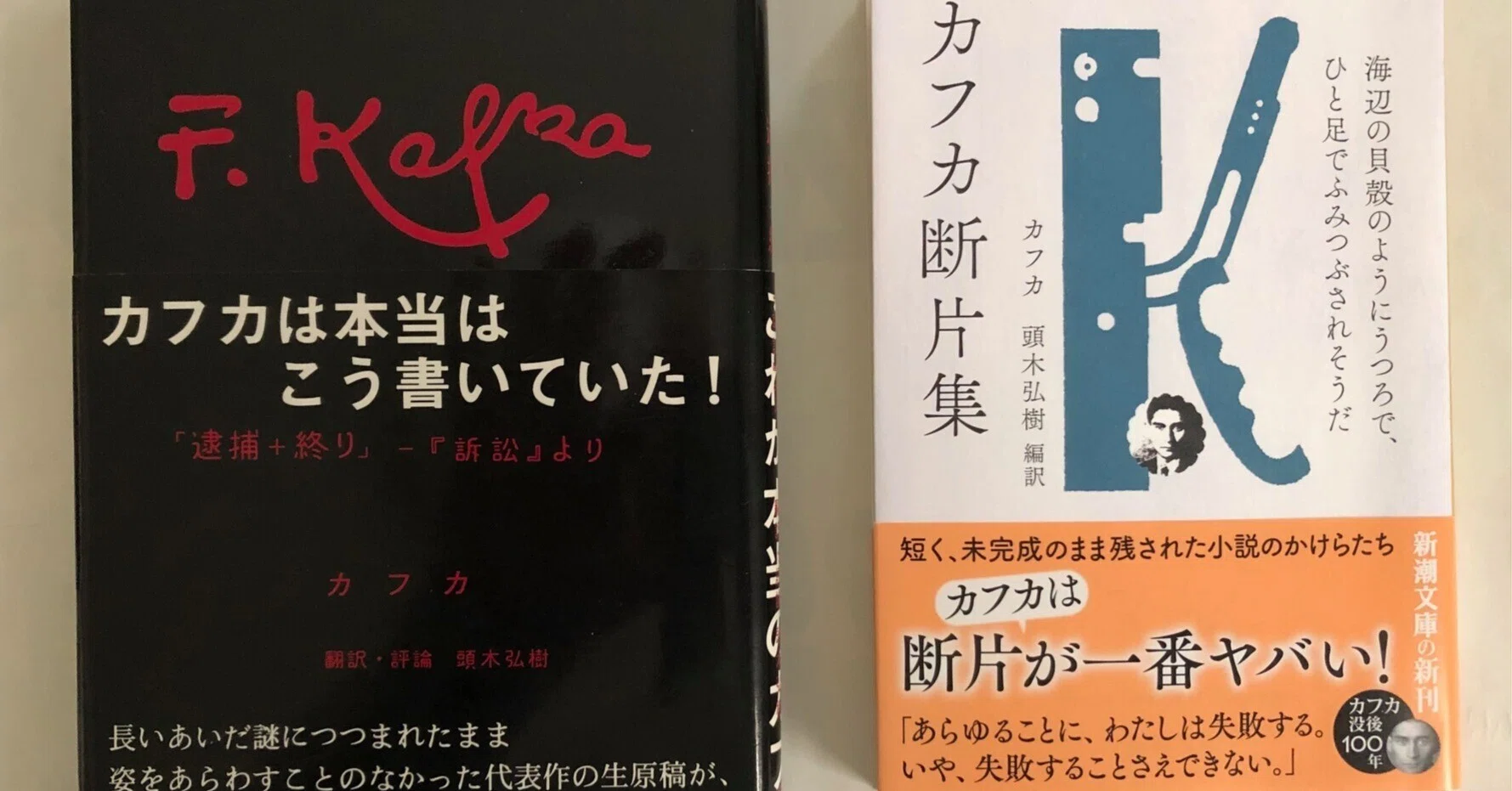 断片だよ、断片だったんだよ！ 頭木弘樹『カフカ断片集』（新潮文庫 
