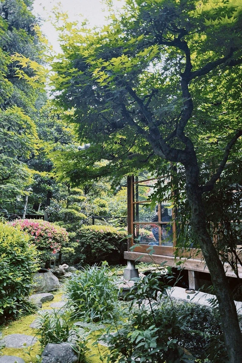 北千住カフェおすすめ3選+α|ふてね