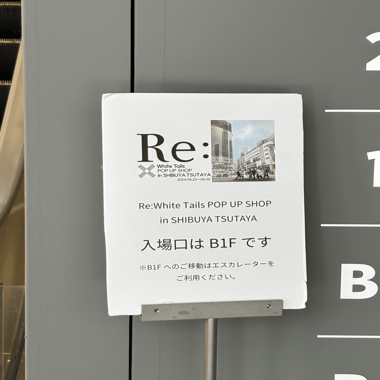 ワイテルズ：Re:White Tails POP UP SHOP in SHIBUYA TSUTAYAレポ
