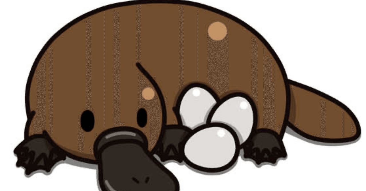 カモノハシになりたい｜大学生かものはし