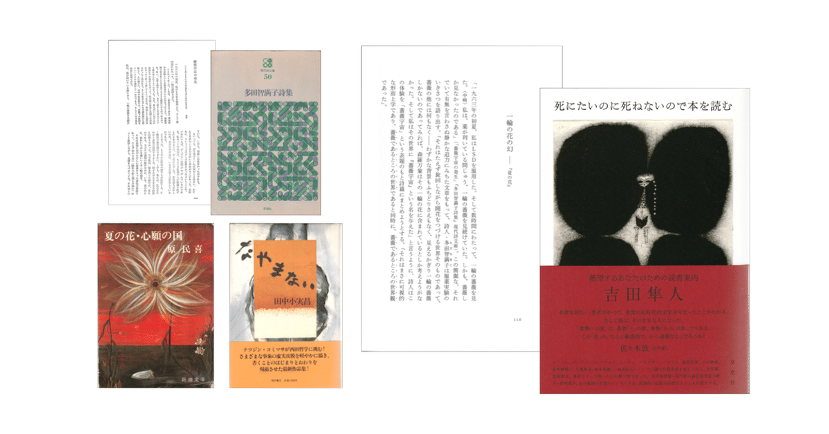 吉田隼人「一輪の花の幻————『夏の花』」／多田智満子「薔薇宇宙の発生