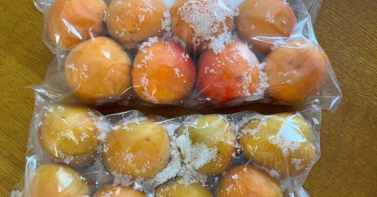 青森・秋田の大きな大きな杏梅、なにわ（八助）・おうみ梅干しの天