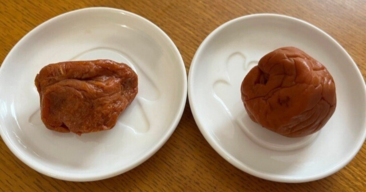 見分けが難しかった青森・秋田の巨大梅、なにわ（八助）・おうみの種の