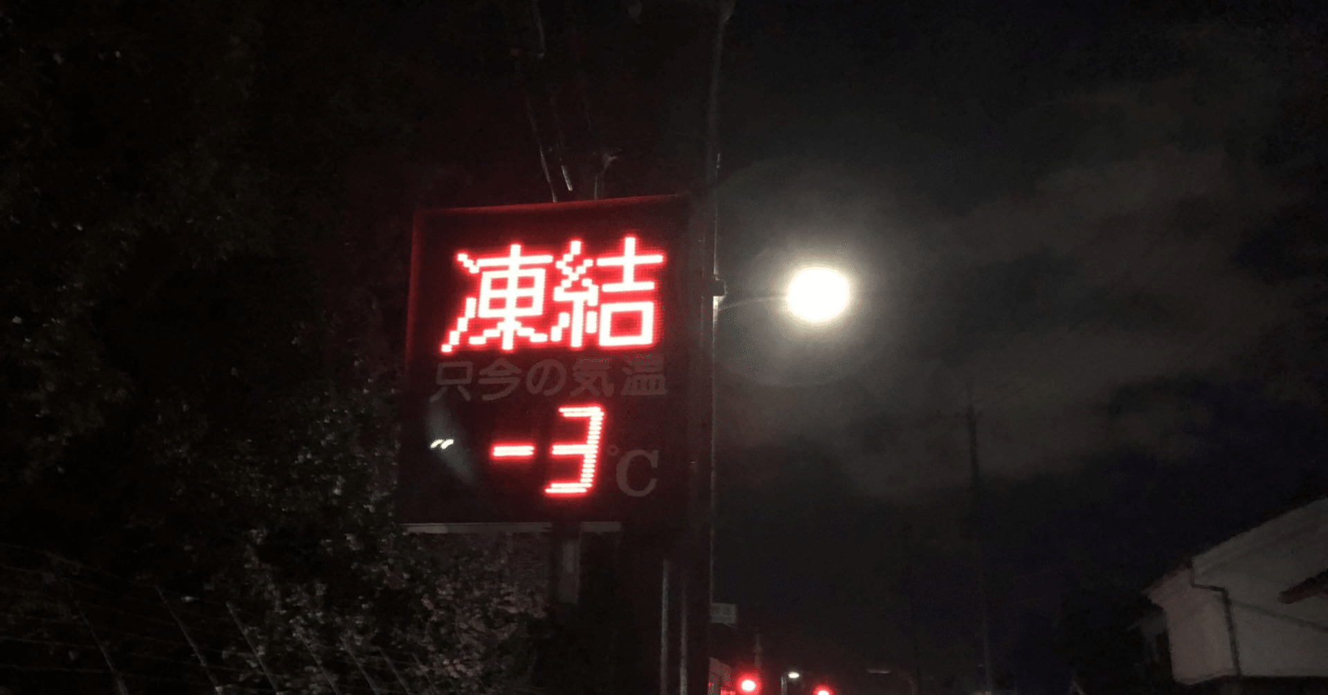 5/31～Twitter(自称:X)誤凍結1年ぶり二回目！！！｜冴樹銀猫