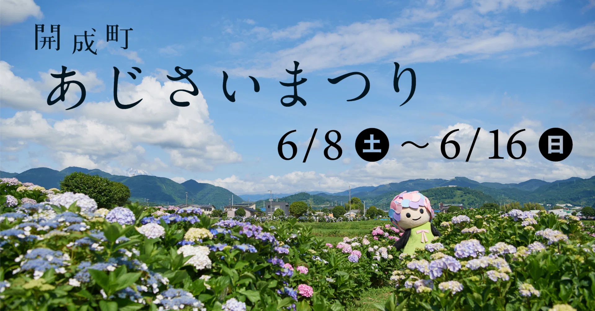 ガイド】 開成町あじさいまつり 2024｜開成町公式note｜神奈川