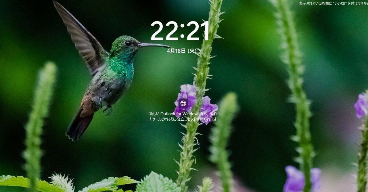 ピヲピヲ🐦🐦記事】ハチドリ🐦画像ばかり推しやがって、、、｜ハミングバード, image size:1280x670