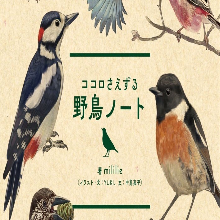 図鑑でもハウツー本でもない、野鳥愛にあふれた『野鳥ノート』ができる