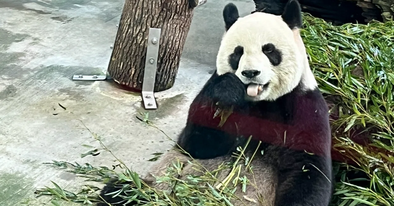 台北市立動物園｜いろえんぴつ