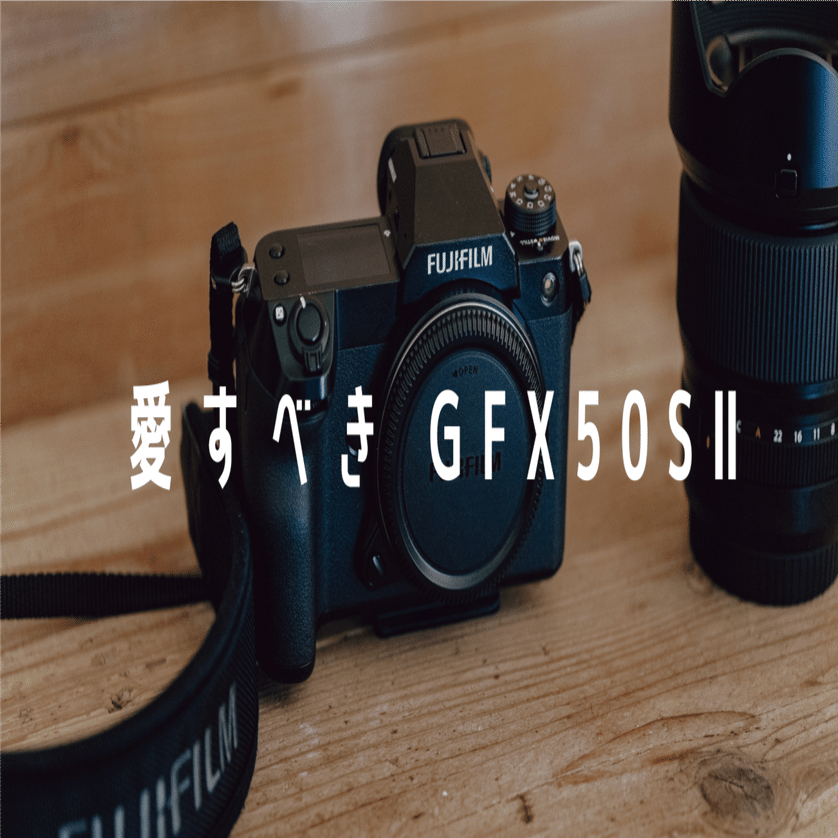 FUJIFILM gfx50sii 美品 6550ショット FUJIFILM gfx50sii 美品 6550ショット FUJIFILM GFX50sⅡ