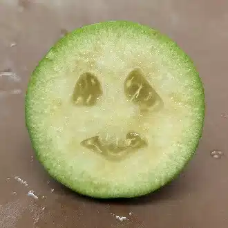 dolly_料理人の日常