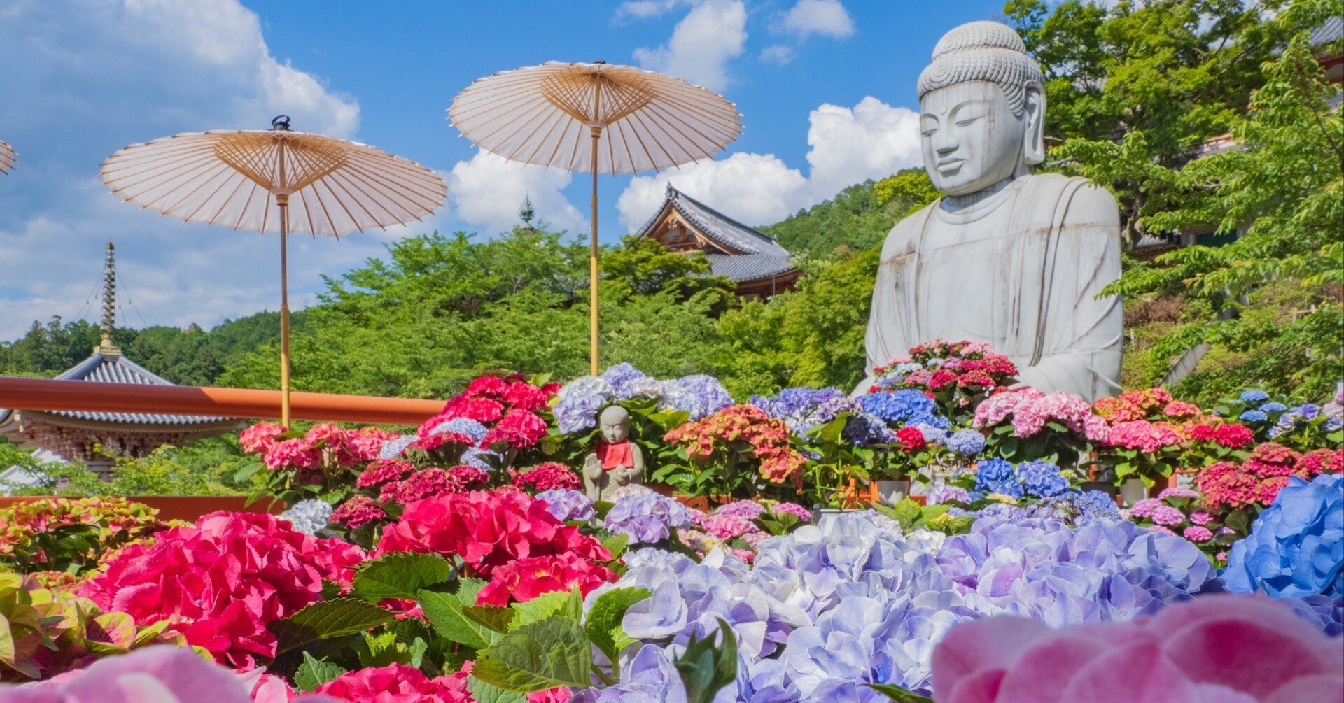 あじさゐ回廊 2024 壺阪寺 ｜KATSUMI