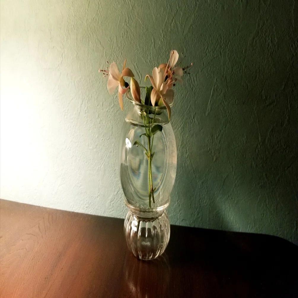 ずっと実験していた人間が買った花瓶｜あおい