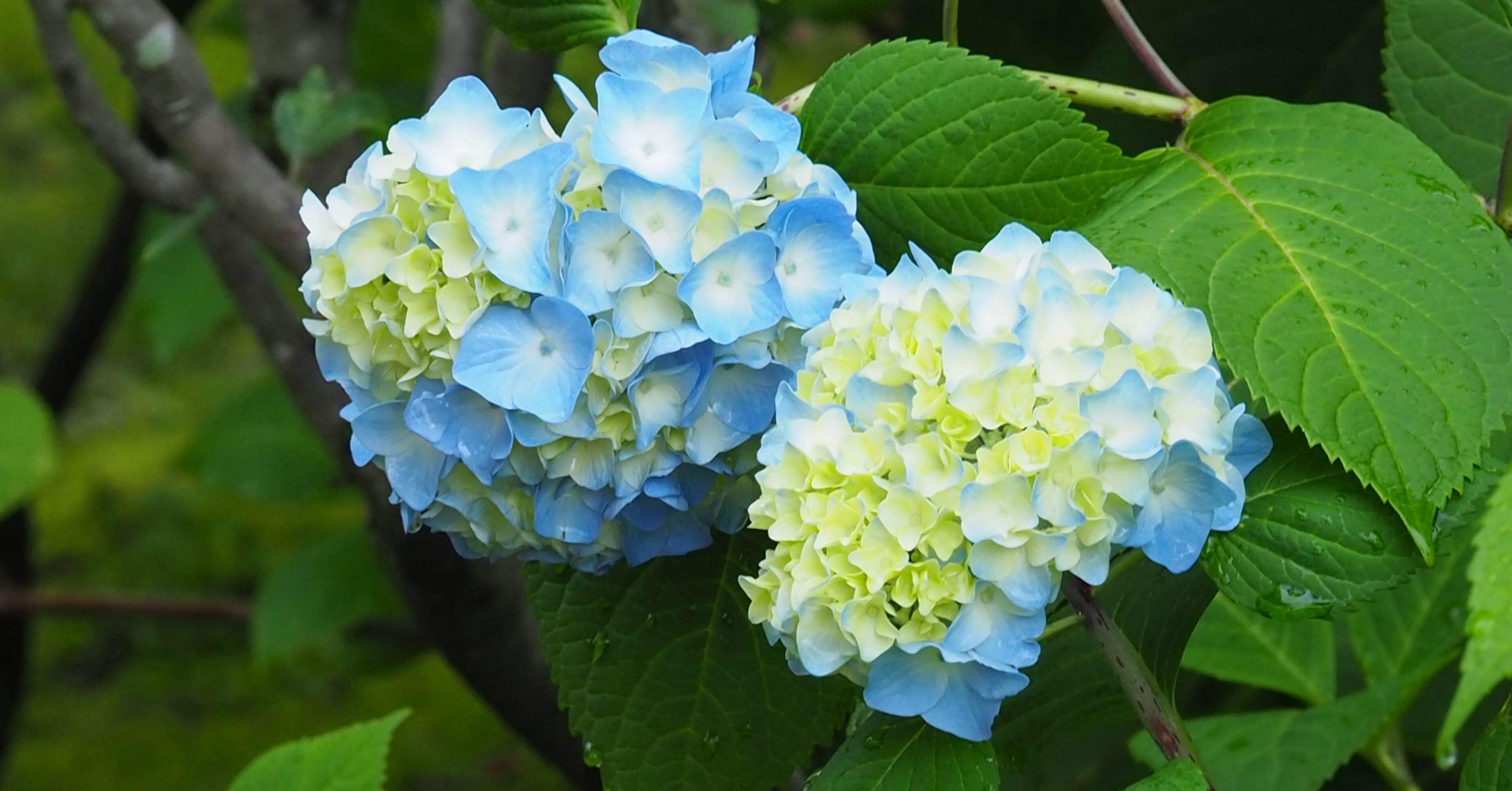 69b77f1a25ce916d5793d8d2d88b6d