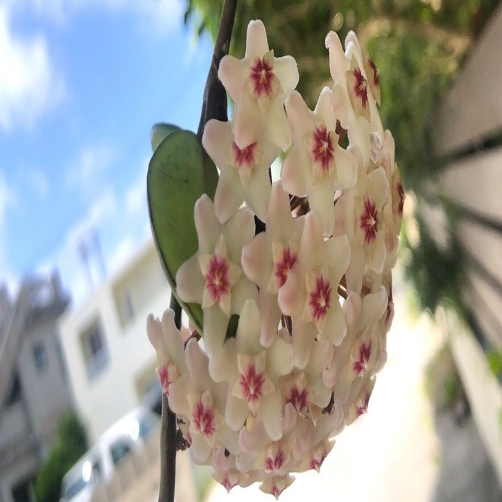 生き方が変でも普通でも、心が大きく無理してないならいいんじゃない